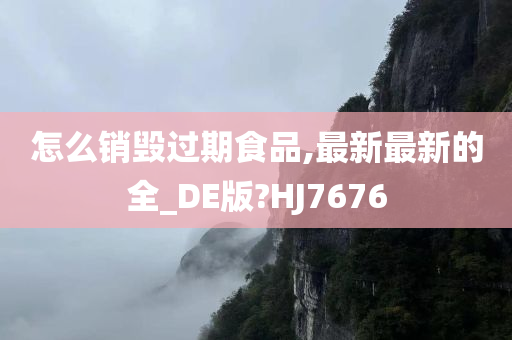 怎么销毁过期食品,最新最新的全_DE版?HJ7676