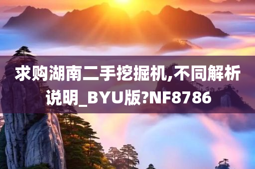 求购湖南二手挖掘机,不同解析说明_BYU版?NF8786