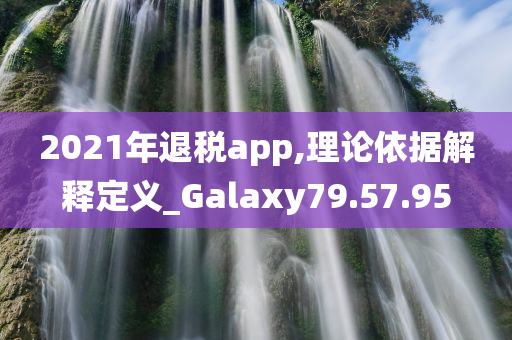 2021年退税app,理论依据解释定义_Galaxy79.57.95