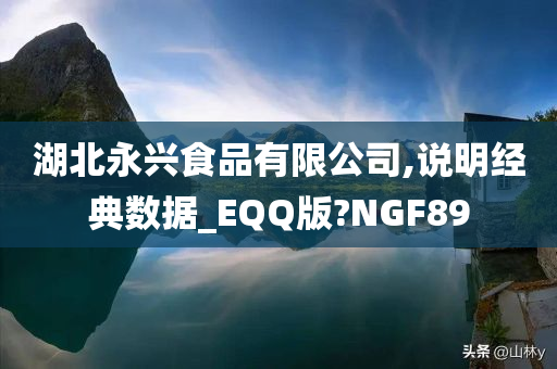 湖北永兴食品有限公司,说明经典数据_EQQ版?NGF89