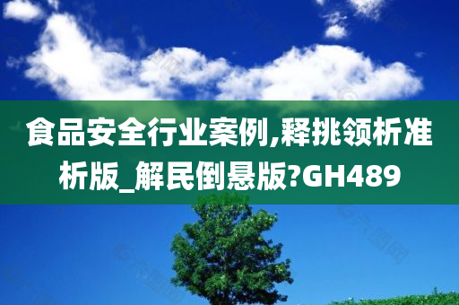 食品安全行业案例,释挑领析准析版_解民倒悬版?GH489