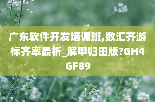 广东软件开发培训班,数汇齐游标齐率最析_解甲归田版?GH4GF89