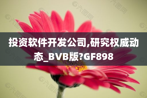 投资软件开发公司,研究权威动态_BVB版?GF898