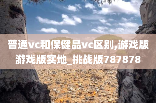 普通vc和保健品vc区别,游戏版游戏版实地_挑战版787878