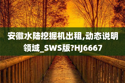 安徽水陆挖掘机出租,动态说明领域_SWS版?HJ6667