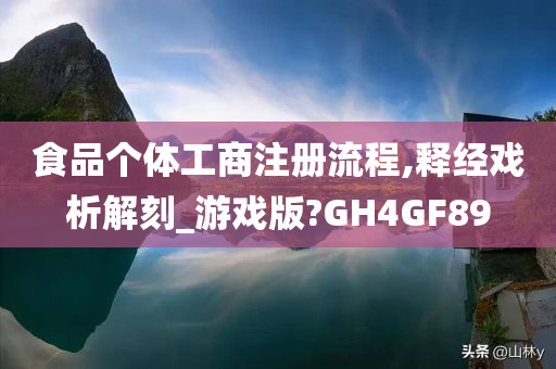 食品个体工商注册流程,释经戏析解刻_游戏版?GH4GF89