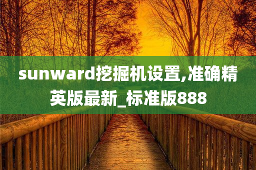 sunward挖掘机设置,准确精英版最新_标准版888