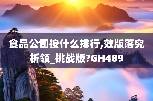 食品公司按什么排行,效版落究析领_挑战版?GH489