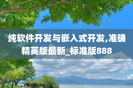 纯软件开发与嵌入式开发,准确精英版最新_标准版888