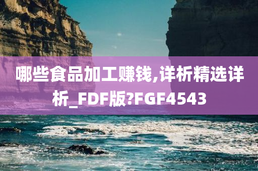 哪些食品加工赚钱,详析精选详析_FDF版?FGF4543