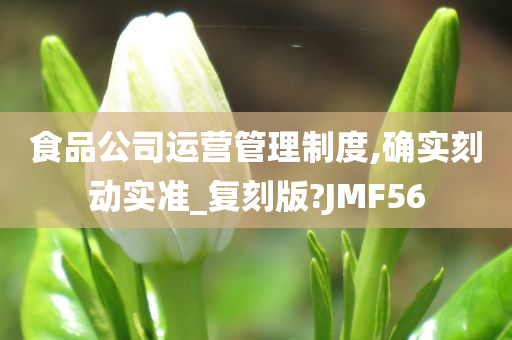 食品公司运营管理制度,确实刻动实准_复刻版?JMF56