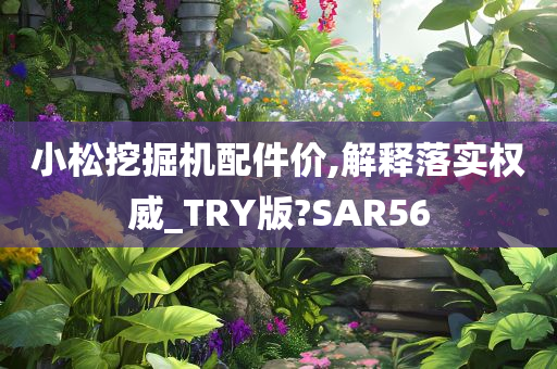 小松挖掘机配件价,解释落实权威_TRY版?SAR56