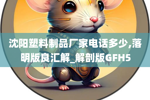 沈阳塑料制品厂家电话多少,落明版良汇解_解剖版GFH5