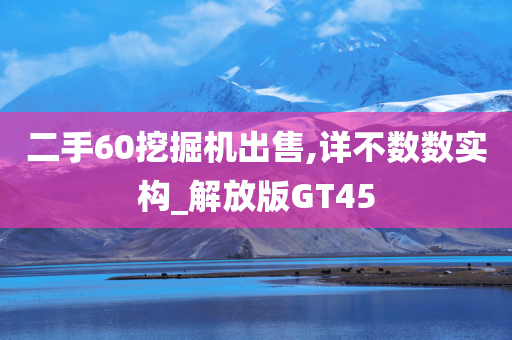 二手60挖掘机出售,详不数数实构_解放版GT45