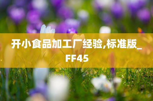 开小食品加工厂经验,标准版_FF45