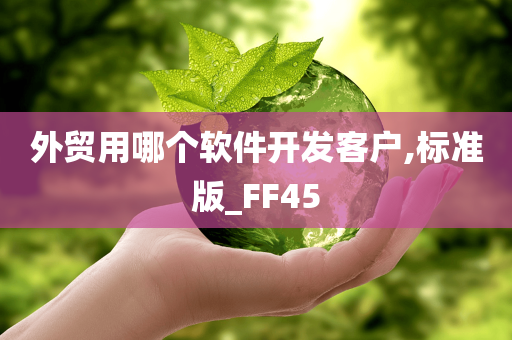 外贸用哪个软件开发客户,标准版_FF45