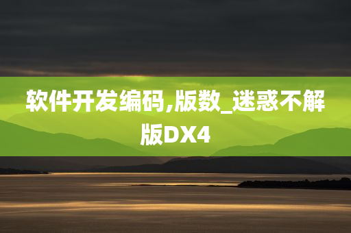 软件开发编码,版数_迷惑不解版DX4