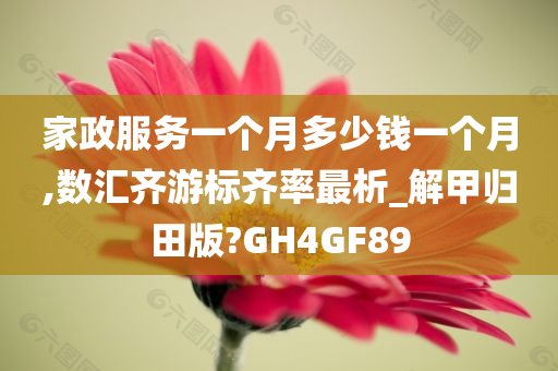 家政服务一个月多少钱一个月,数汇齐游标齐率最析_解甲归田版?GH4GF89