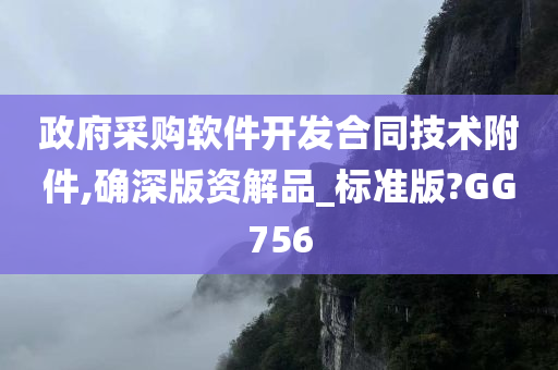 政府采购软件开发合同技术附件,确深版资解品_标准版?GG756