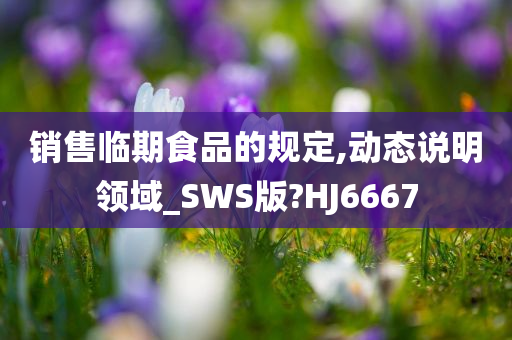 销售临期食品的规定,动态说明领域_SWS版?HJ6667