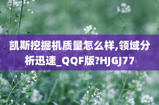 凯斯挖掘机质量怎么样,领域分析迅速_QQF版?HJGJ77