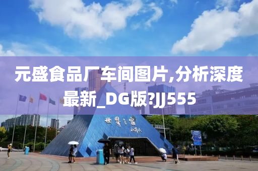 元盛食品厂车间图片,分析深度最新_DG版?JJ555