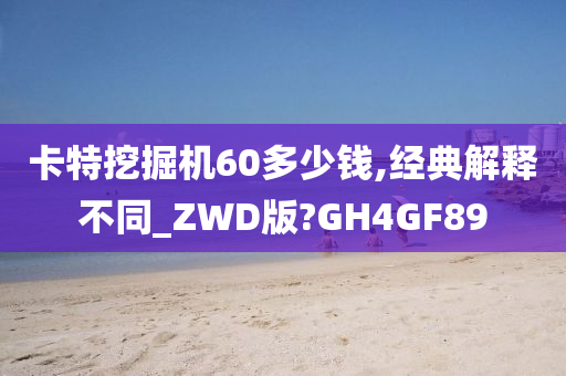 卡特挖掘机60多少钱,经典解释不同_ZWD版?GH4GF89