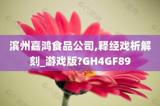 滨州嘉鸿食品公司,释经戏析解刻_游戏版?GH4GF89