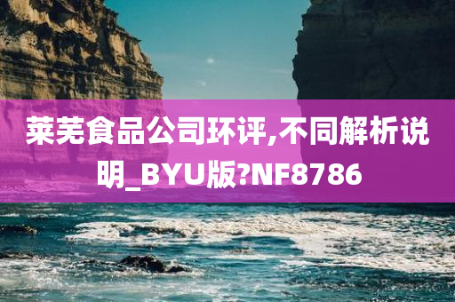 莱芜食品公司环评,不同解析说明_BYU版?NF8786