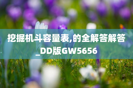 挖掘机斗容量表,的全解答解答_DD版GW5656