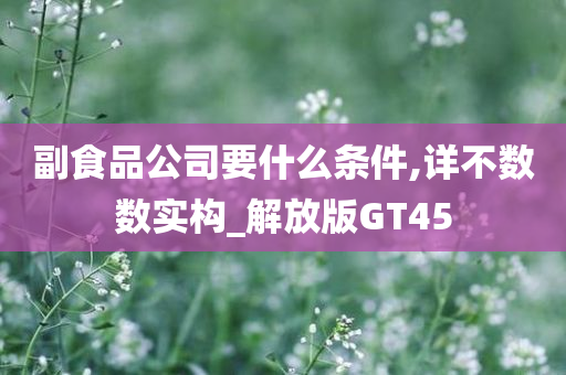 副食品公司要什么条件,详不数数实构_解放版GT45