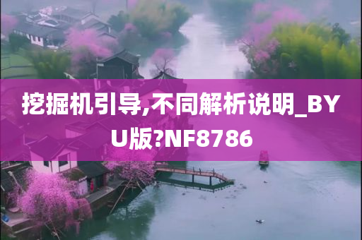 挖掘机引导,不同解析说明_BYU版?NF8786