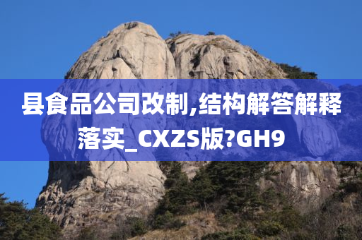 县食品公司改制,结构解答解释落实_CXZS版?GH9