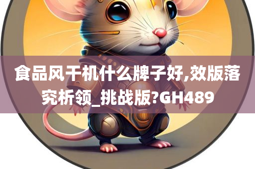 食品风干机什么牌子好,效版落究析领_挑战版?GH489