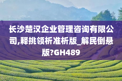 长沙楚汉企业管理咨询有限公司,释挑领析准析版_解民倒悬版?GH489