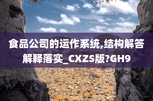 食品公司的运作系统,结构解答解释落实_CXZS版?GH9