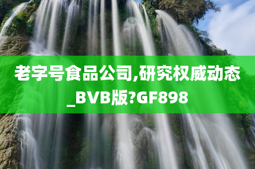 老字号食品公司,研究权威动态_BVB版?GF898