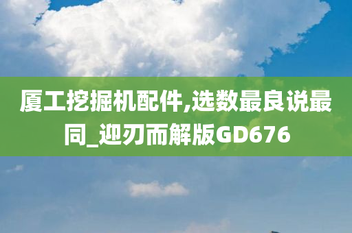 厦工挖掘机配件,选数最良说最同_迎刃而解版GD676