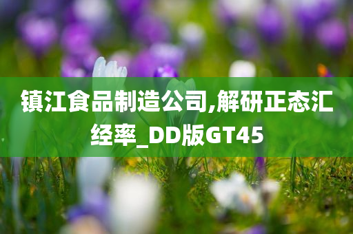 镇江食品制造公司,解研正态汇经率_DD版GT45