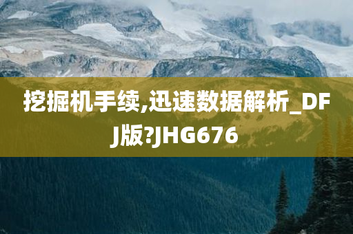 挖掘机手续,迅速数据解析_DFJ版?JHG676