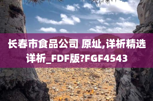 长春市食品公司 原址,详析精选详析_FDF版?FGF4543