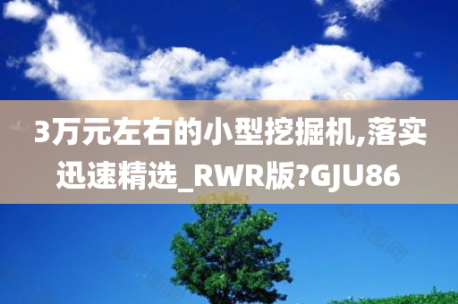 3万元左右的小型挖掘机,落实迅速精选_RWR版?GJU86