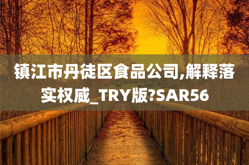 镇江市丹徒区食品公司,解释落实权威_TRY版?SAR56