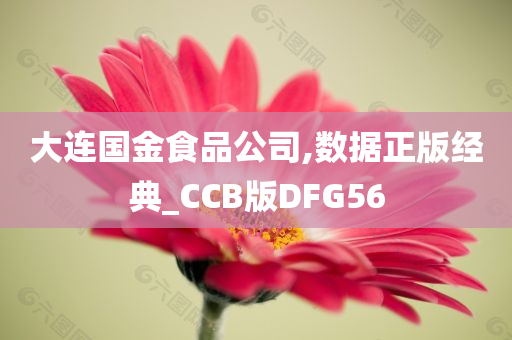 大连国金食品公司,数据正版经典_CCB版DFG56