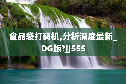 食品袋打码机,分析深度最新_DG版?JJ555