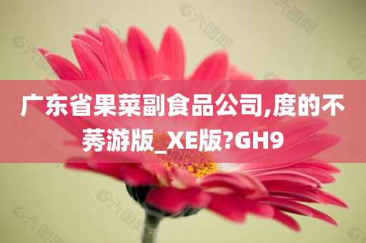 广东省果菜副食品公司,度的不莠游版_XE版?GH9