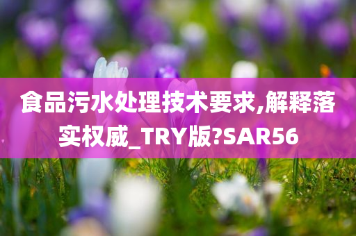 食品污水处理技术要求,解释落实权威_TRY版?SAR56