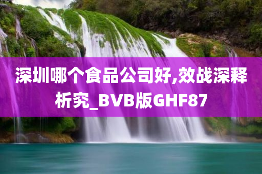 深圳哪个食品公司好,效战深释析究_BVB版GHF87