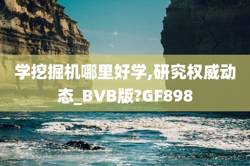 学挖掘机哪里好学,研究权威动态_BVB版?GF898