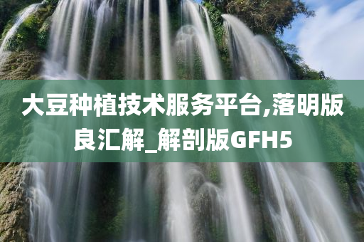 大豆种植技术服务平台,落明版良汇解_解剖版GFH5